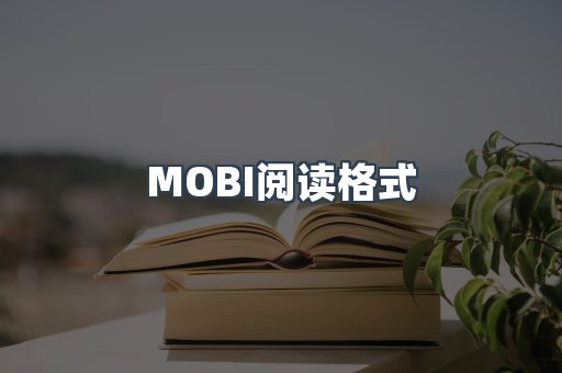 外文电子书系列